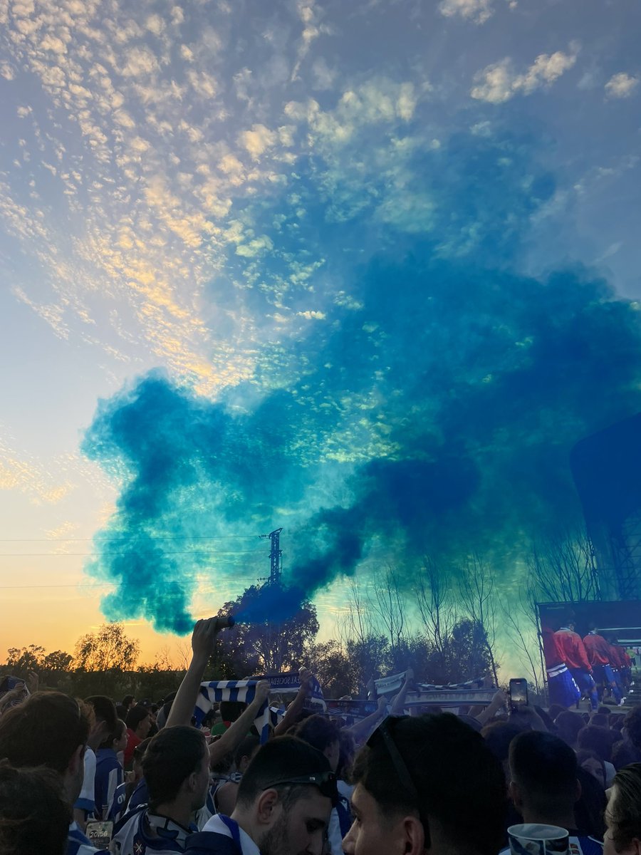 Durán 🐙 tweet media