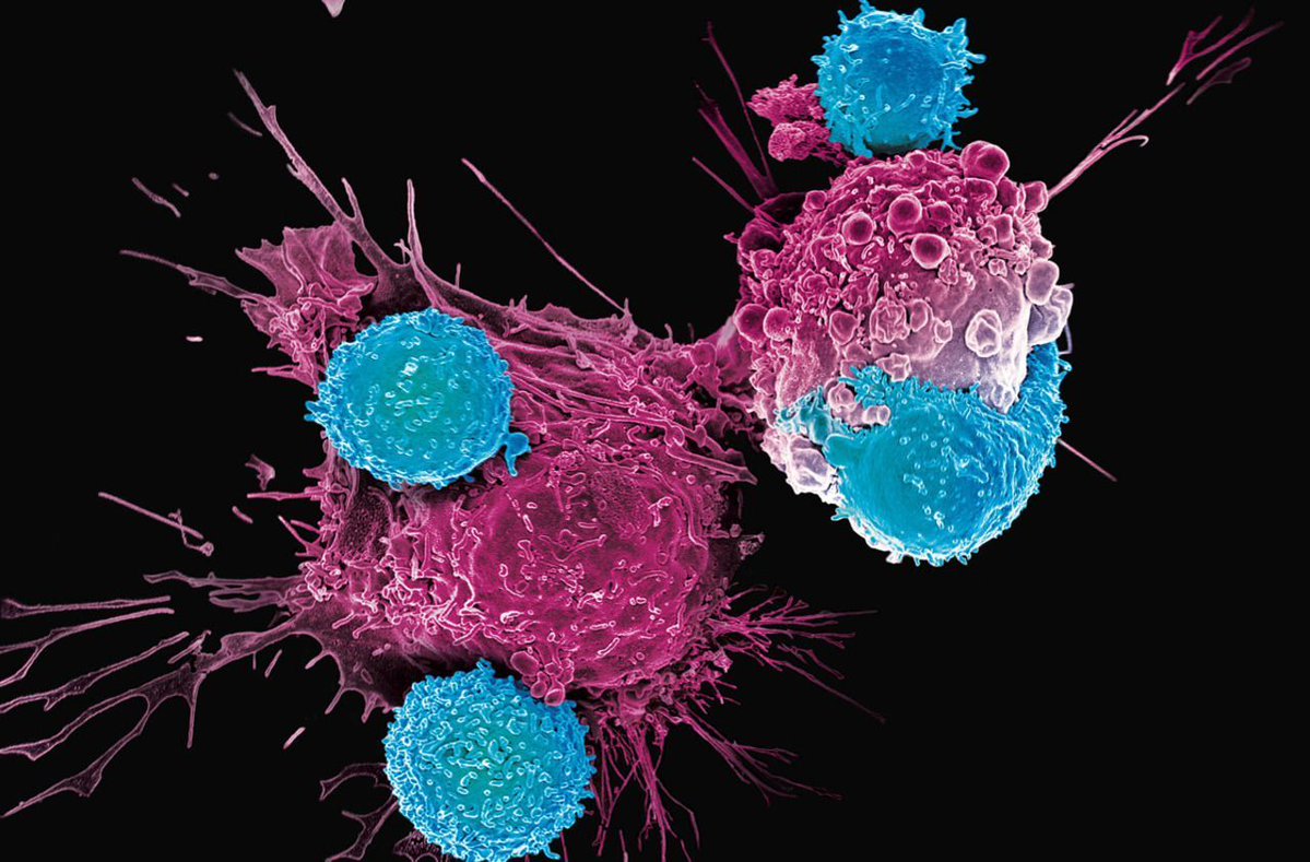 fabienne billat tweet media