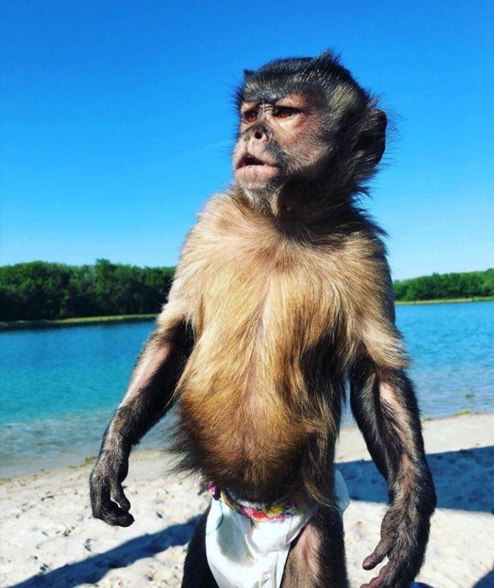 Chihuku chechibhoyi😂🍑 tweet media