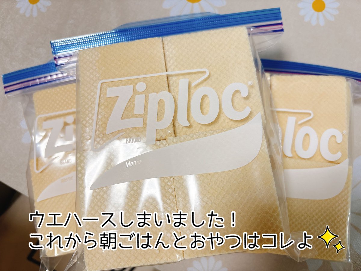 まりも (@marimo_acv) / Posts / X