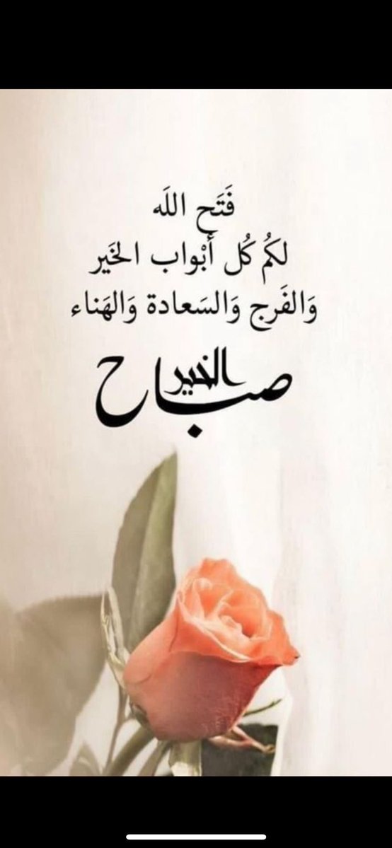 ( نبض المشاعر ) ابومحمد ❤️🌺🌹💐 tweet media