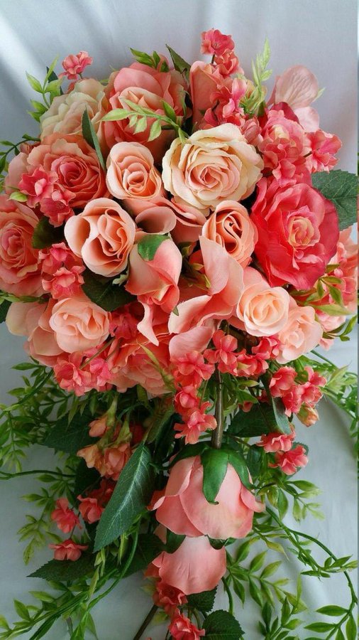 Mary Anne tweet media