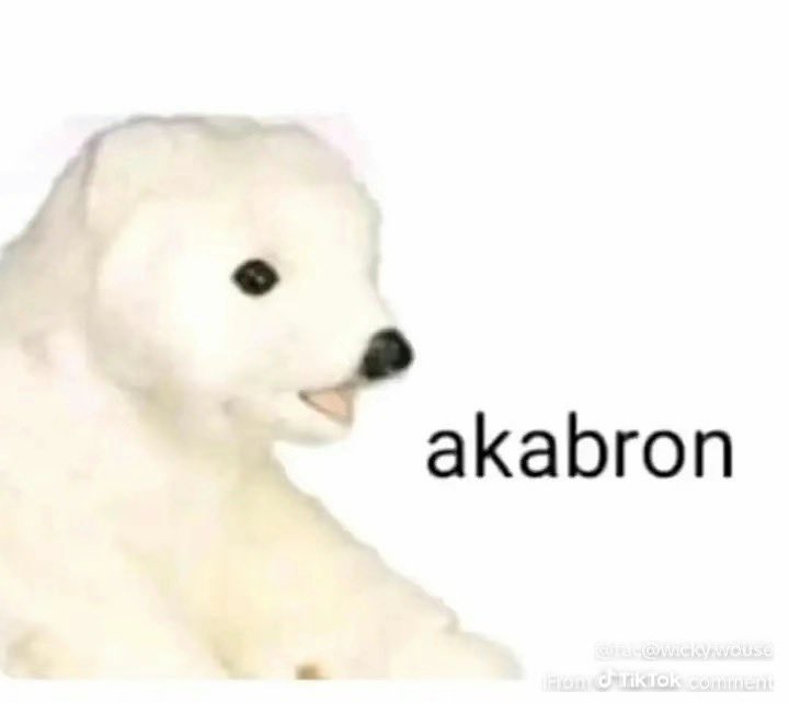 ✨Fatima Isabel✨ tweet media