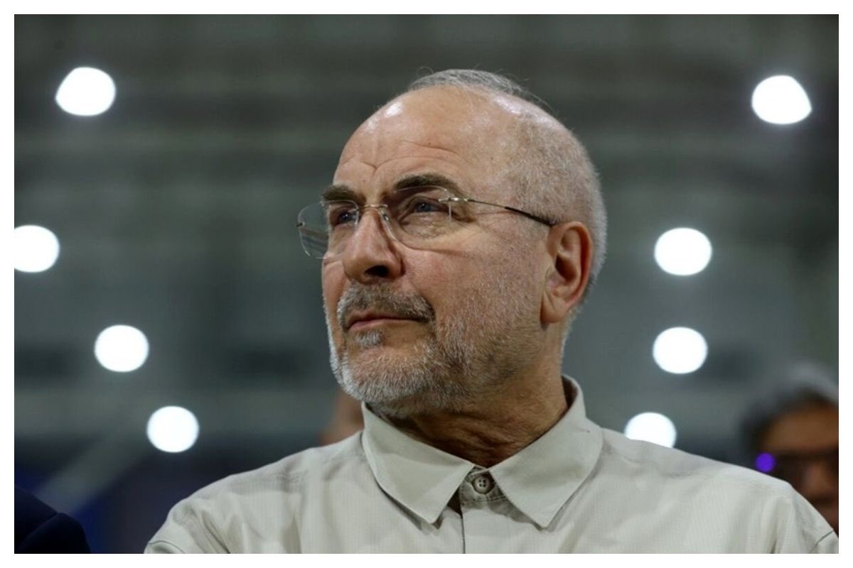 مصطفی رضایی tweet media