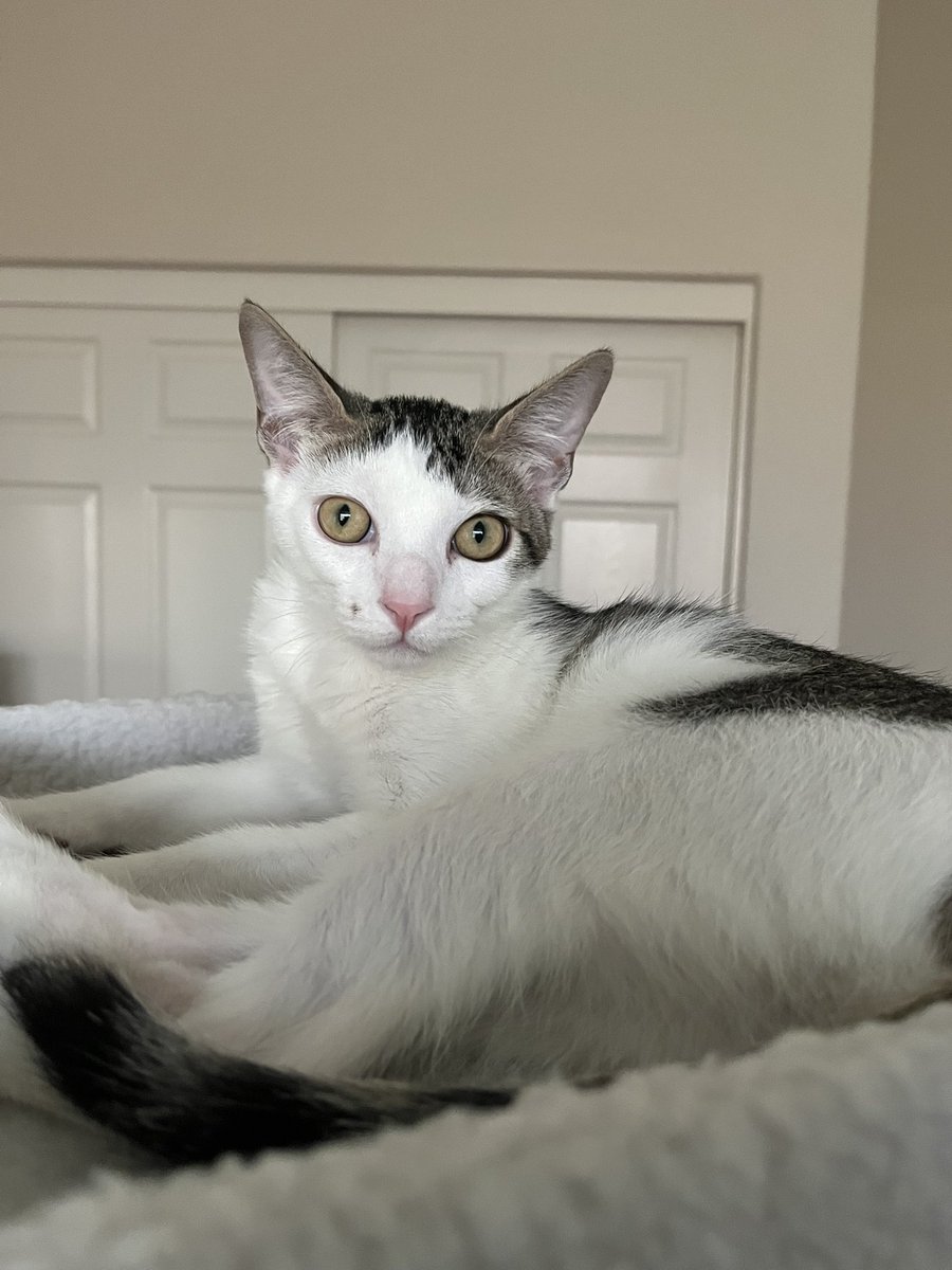 Daily Pixel 🌱 tweet media