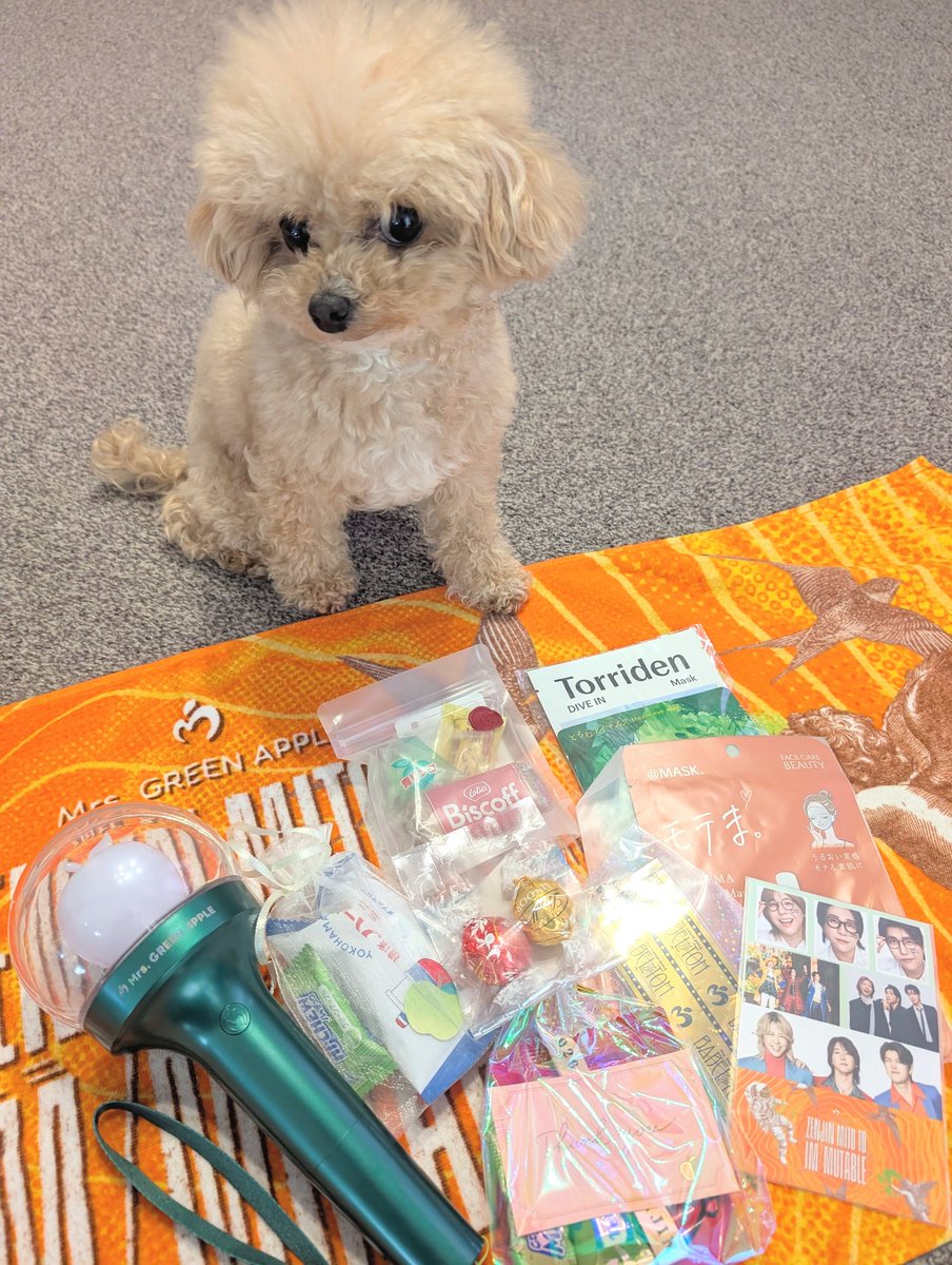 ちっち🍏4/18ｾﾞﾝｼﾞﾝ🧡 tweet media