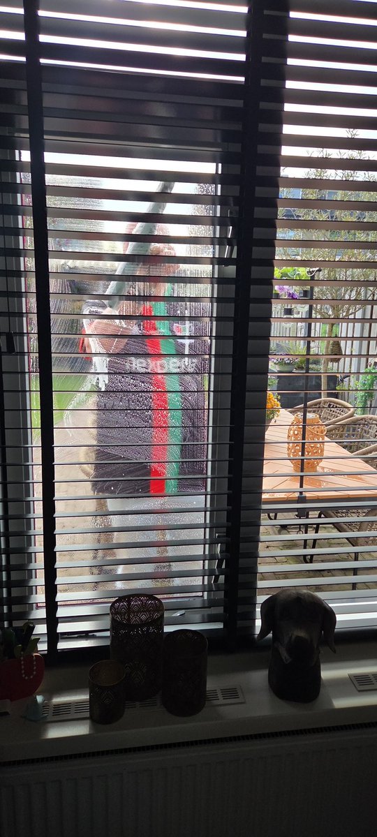 Jacqueline Jansen tweet media