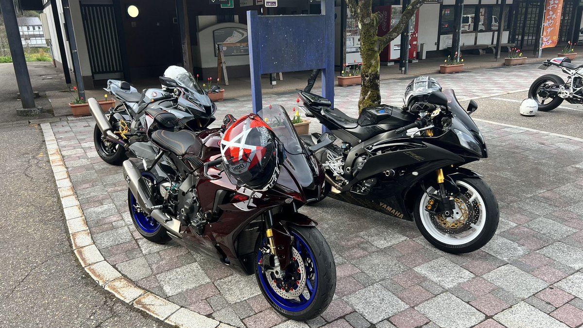 kiwa_tti tweet media