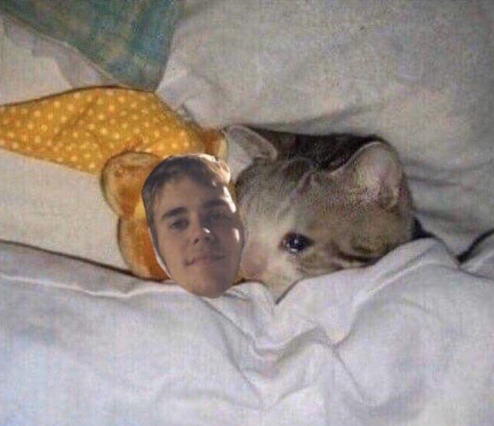 chanell went to BIEBERCHELLA tweet media