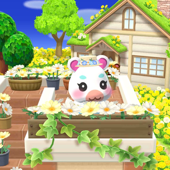 sakuramochi1217's tweet image. ベルクッキーで星5が出たー🙌
ゆきみちゃんも嬉しそう🐹🎶

#ポケ森
#ポケ森コンプリート
#acpc
#ゆきみちゃん
#ぺしみち
#シャンティ