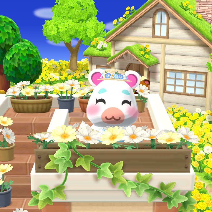 sakuramochi1217's tweet image. ベルクッキーで星5が出たー🙌
ゆきみちゃんも嬉しそう🐹🎶

#ポケ森
#ポケ森コンプリート
#acpc
#ゆきみちゃん
#ぺしみち
#シャンティ