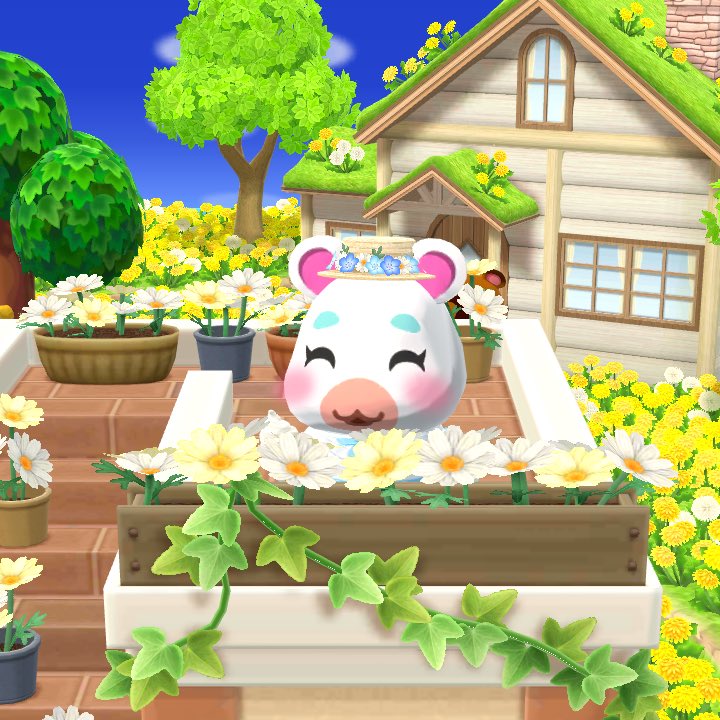 sakuramochi1217's tweet image. ベルクッキーで星5が出たー🙌
ゆきみちゃんも嬉しそう🐹🎶

#ポケ森
#ポケ森コンプリート
#acpc
#ゆきみちゃん
#ぺしみち
#シャンティ