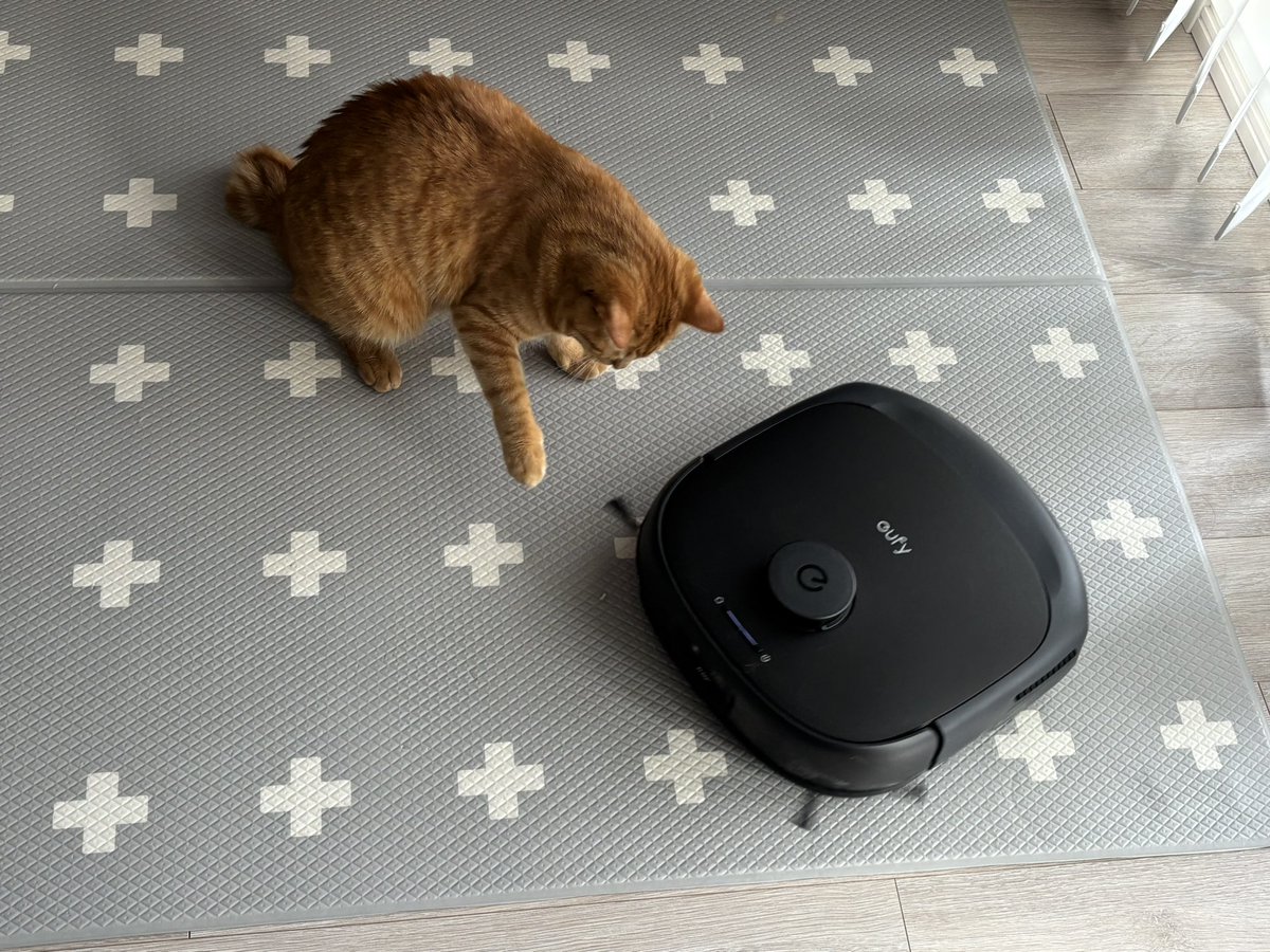 鹿谷ファミリー tweet media