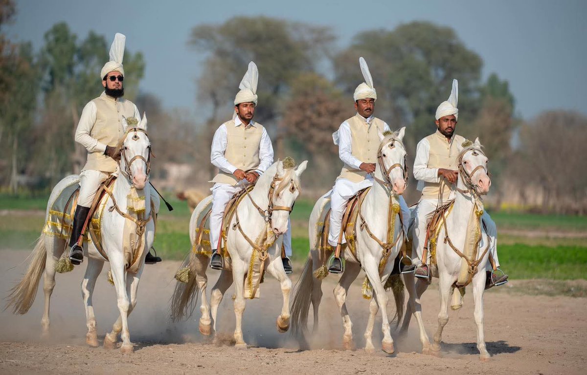 A true reformer of Tent Pegging 🇵🇰
He introduced modern competition structure &amp; international exposure for Pakistani riders. �
24 News HD
#SultanVicePresidentITPF #SultanRisesAgain #GreenFlagRisesAtITPF