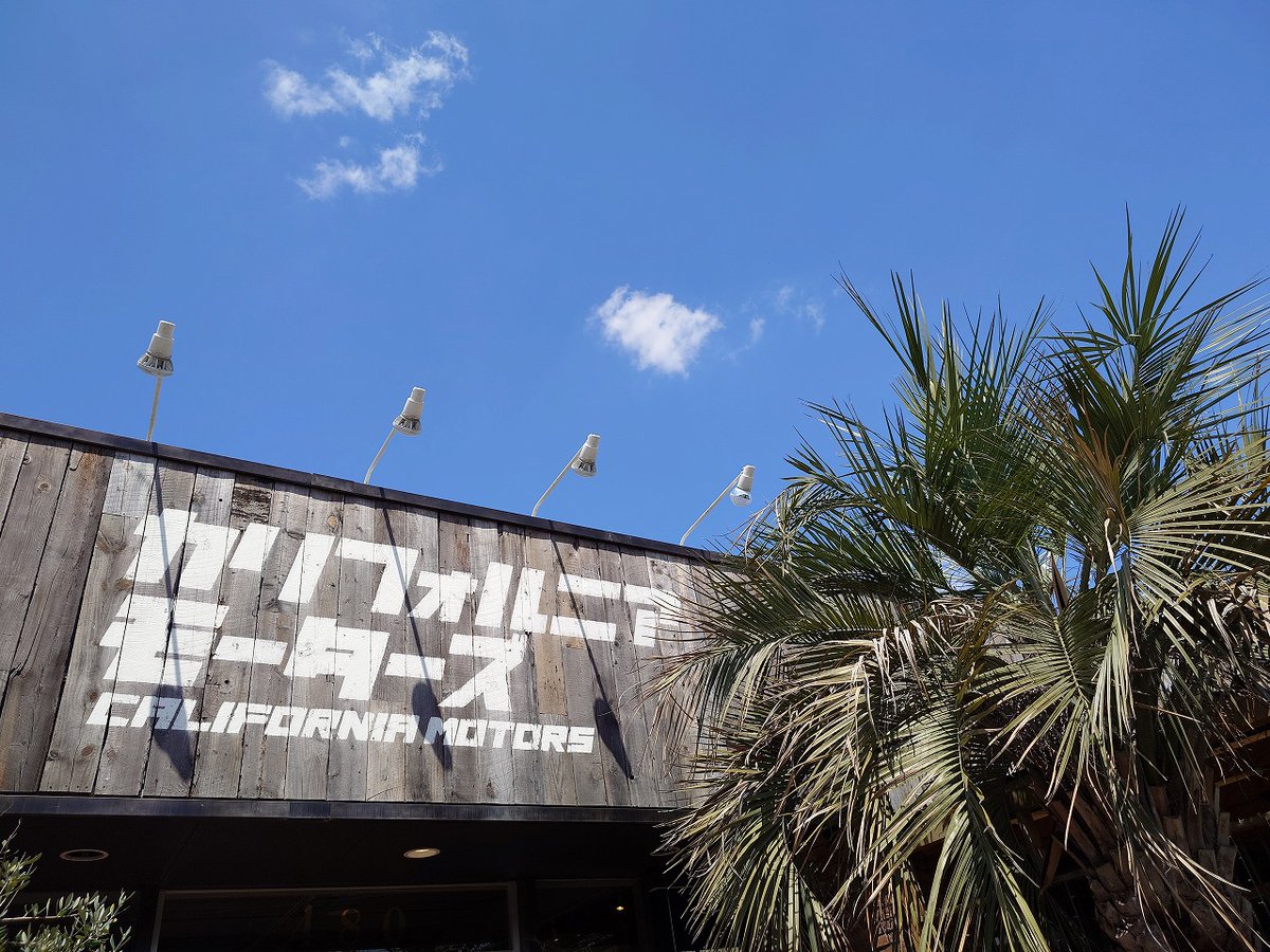 Z1R-うめ@腎臓がんステージ4バイク乗り tweet media