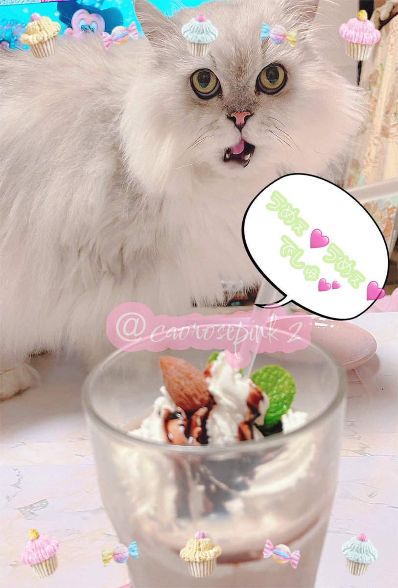 cao🌸☃️🖤 tweet media