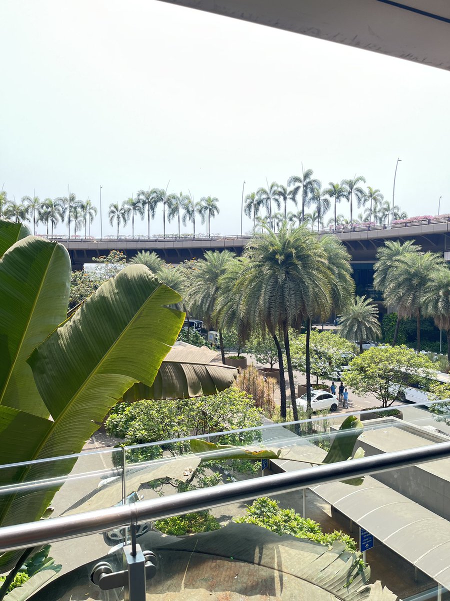 デリーはムドラが出迎えてくれるけどムンバイは味気ないな。落ち着いているともいう。全然分からないから空港でランチを済ませてしまう。おじ達が溜まっているからまぁ大丈夫だろうというチョイス。ANAはエッグベネディクト、SQはイドゥリ、ワダ、ウプマだったのでチャーイついでにドーサ。外は暑い🥵