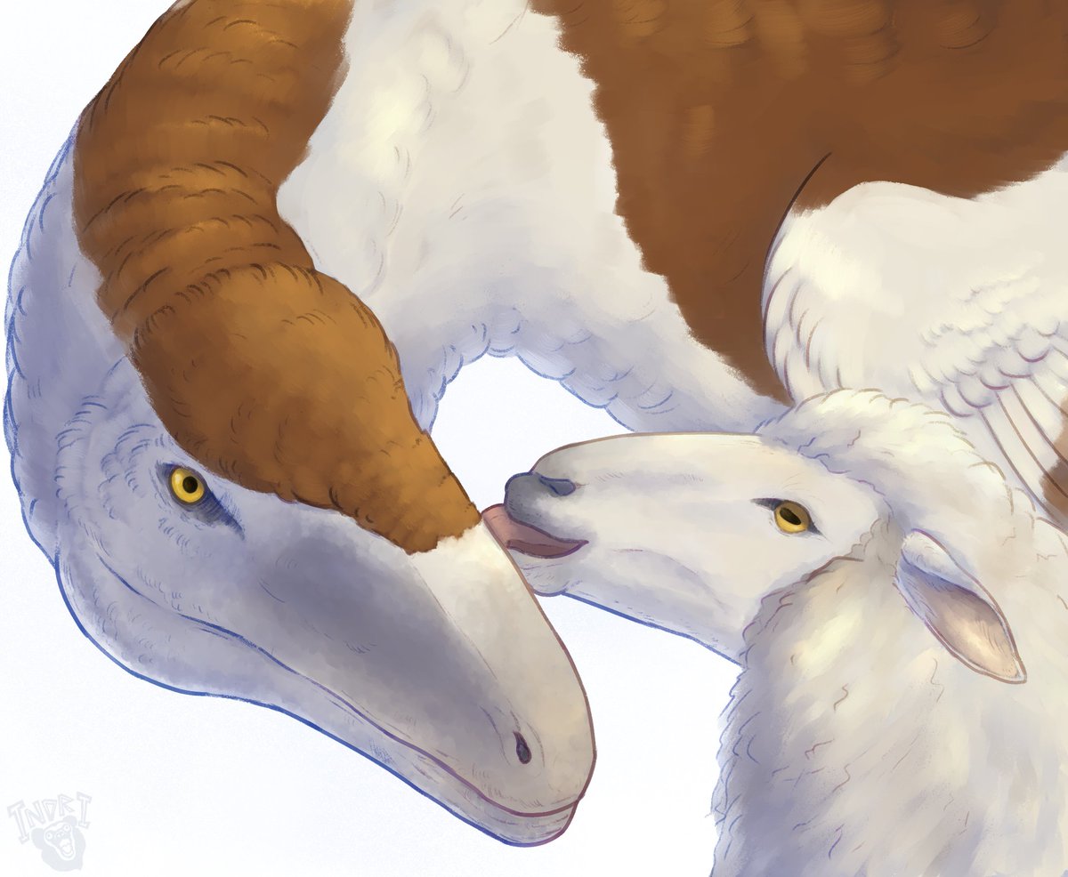 INDRI_INDRI_'s tweet image. commission 🦖🐑

#commission #art #dinosaur