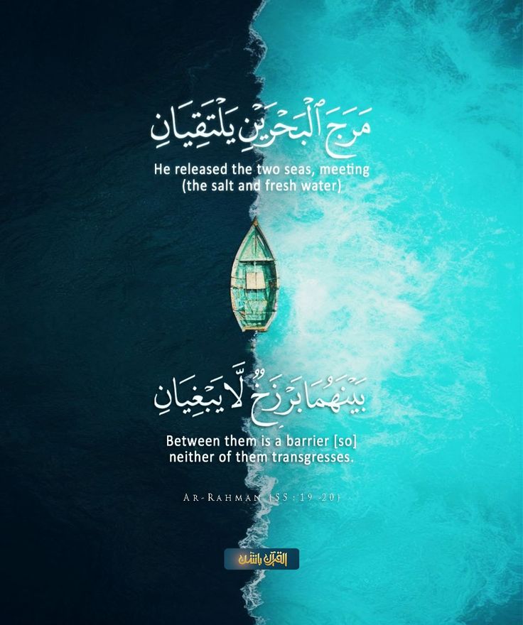 reposts, it will help you❤🕊️