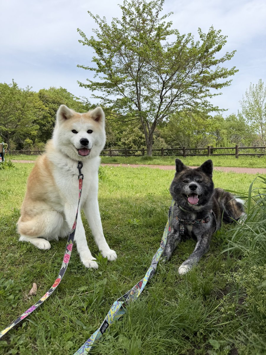 ❁みゆち❁ |ө⊙)♡‎ tweet media