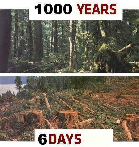 Green Planet tweet media