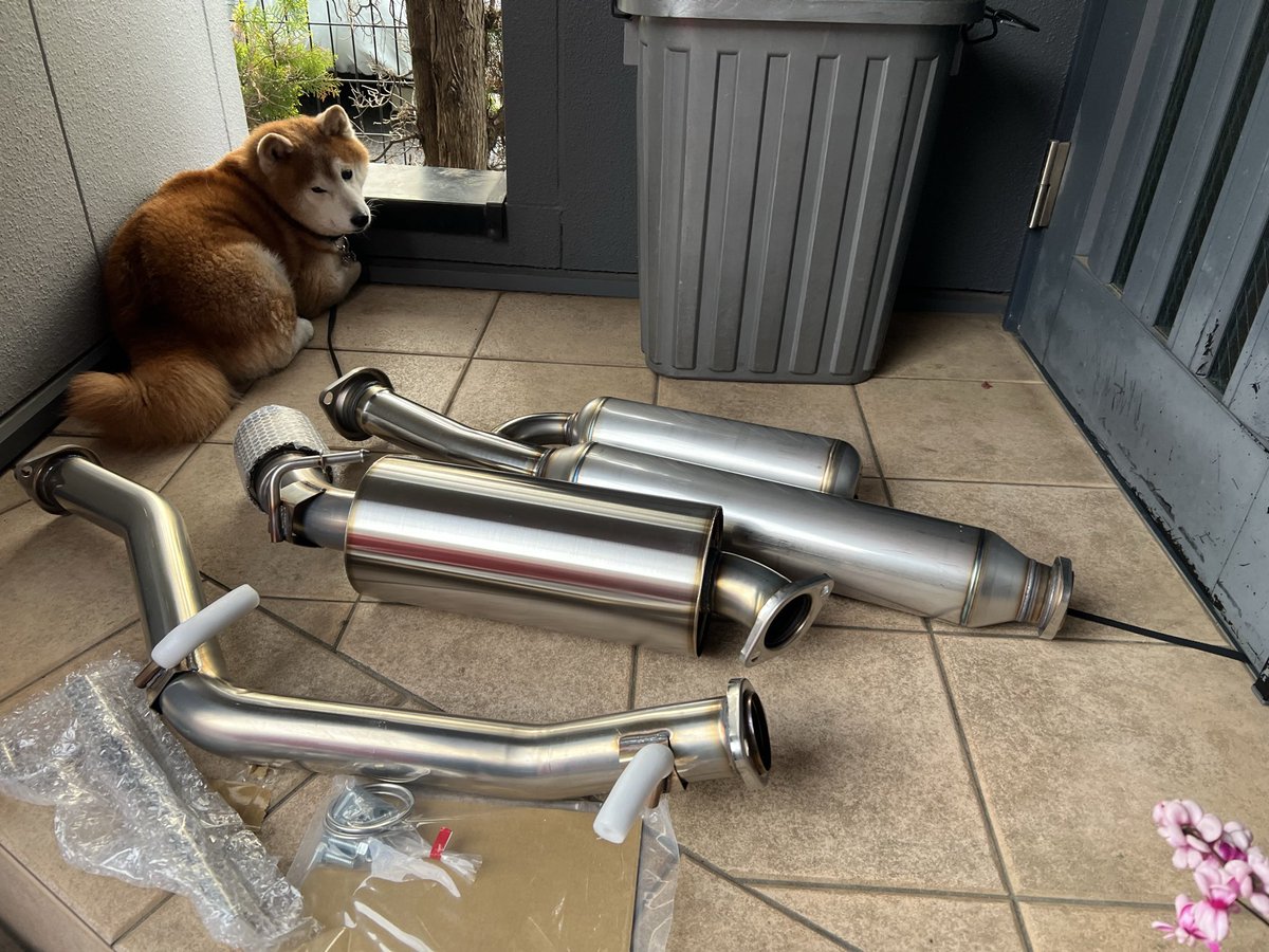 ゆーや(Yuya)@ドバイから退避😘 tweet media