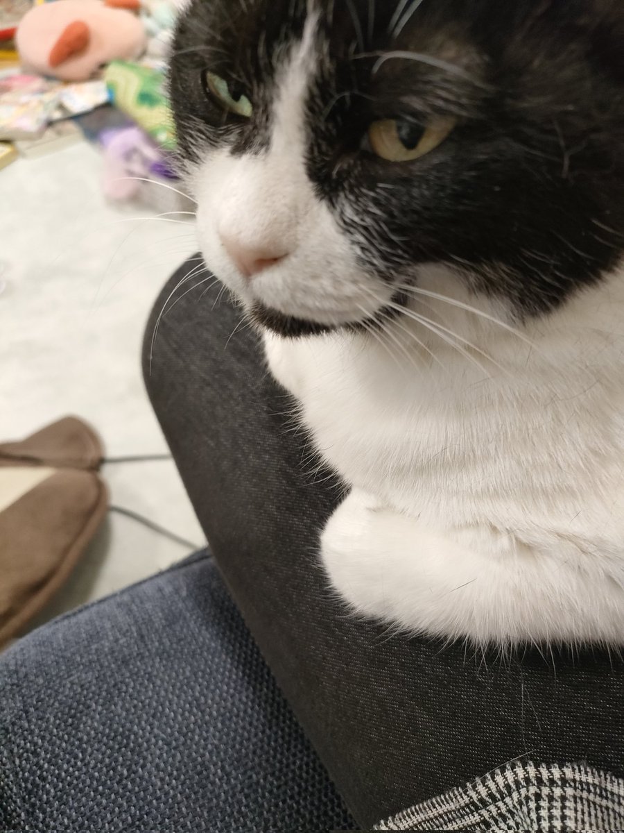 おキヌ子 tweet media