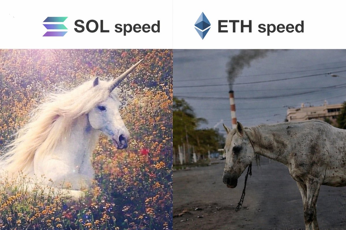 rdbotato's tweet photo. what if you could make eth as fast as sol?

been experimenting with my trading bot for a while now.

sol feels fast because blocks land in ~1 second. you click buy, it's done. eth blocks take 12 seconds. that's why every meme trader gone to sol years ago. nobody wants to stare at a loading screen lol..

you can't speed up the chain. but you can cheat the feel.

that's @ChainVerseBot. 0.5% fee (rest of the market is at 1%+), 5 evm chains plus sol.

it's in beta. give it a try and tell me what breaks.