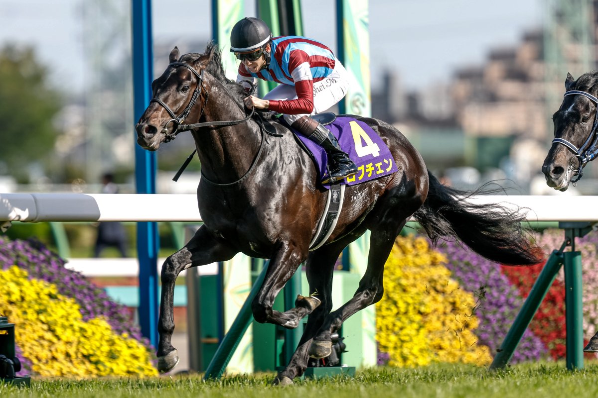 netkeiba tweet media