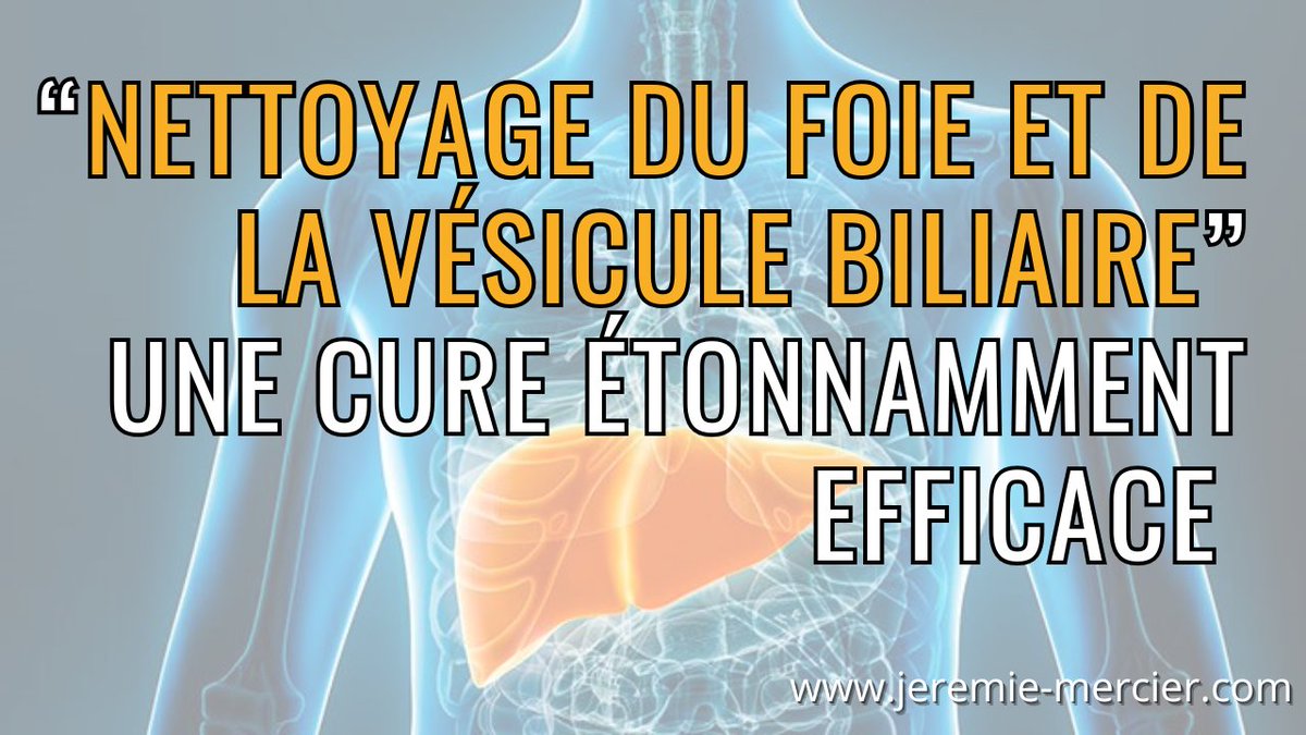 Je découvre par hasard qu'il y a une Journée mondiale du foie et que c'est aujourd'hui, le 19 avril !

Il se trouve que ça fait plus de 10 ans que je promeus une pratique bizarre mais redoutablement efficace, appelée nettoyage du foie, que j'ai testée de nombreuses fois (plus de