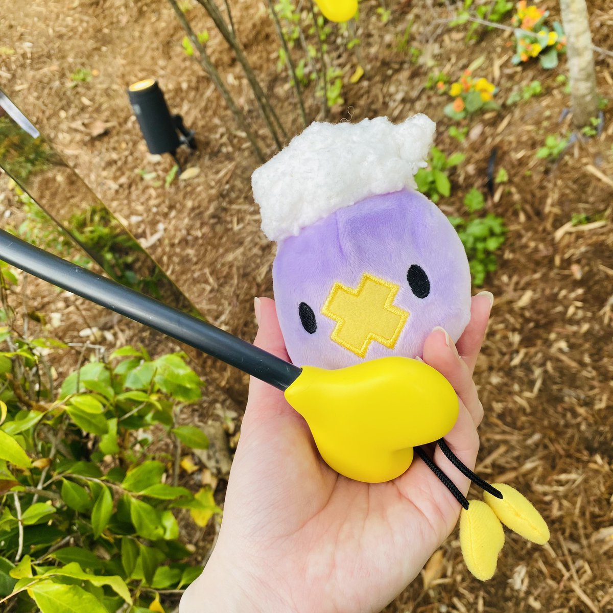 フワンテきゃわわ、きゃわわすぎる
おててピトッ💛