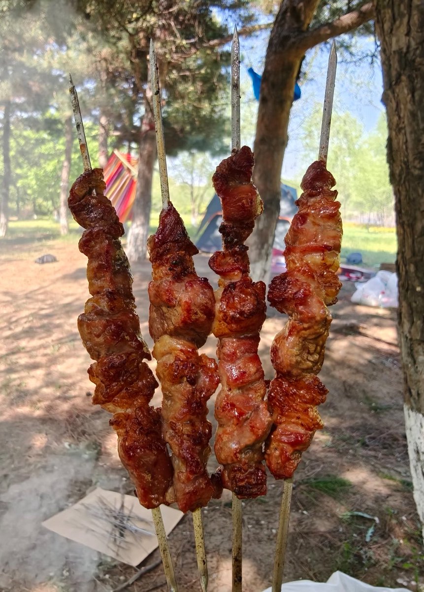 暖阳🔆（疯狂互关版）🐬TermMax tweet media