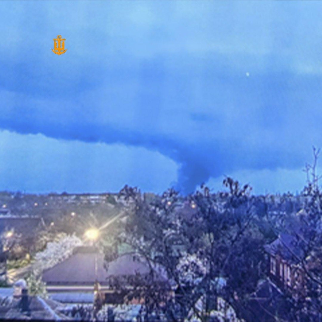 Special Kherson Cat 🐈🇺🇦 tweet media