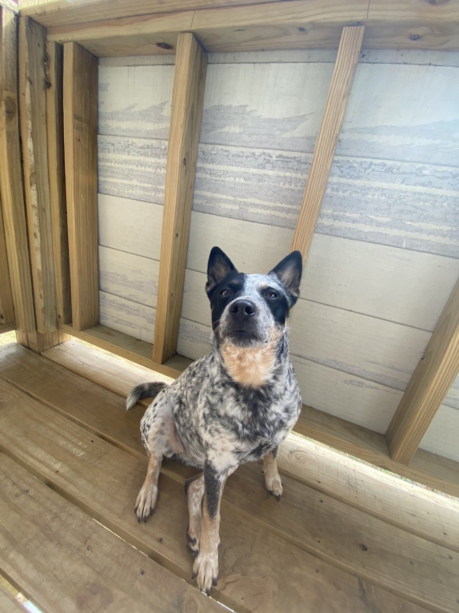 Ghost Grim tweet media