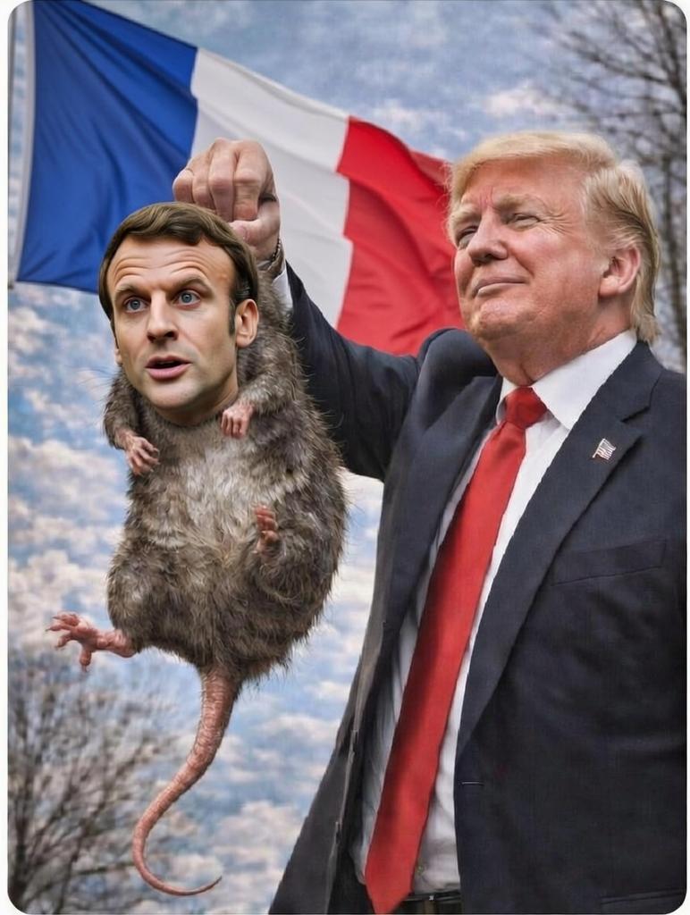 Fons Tom tweet media