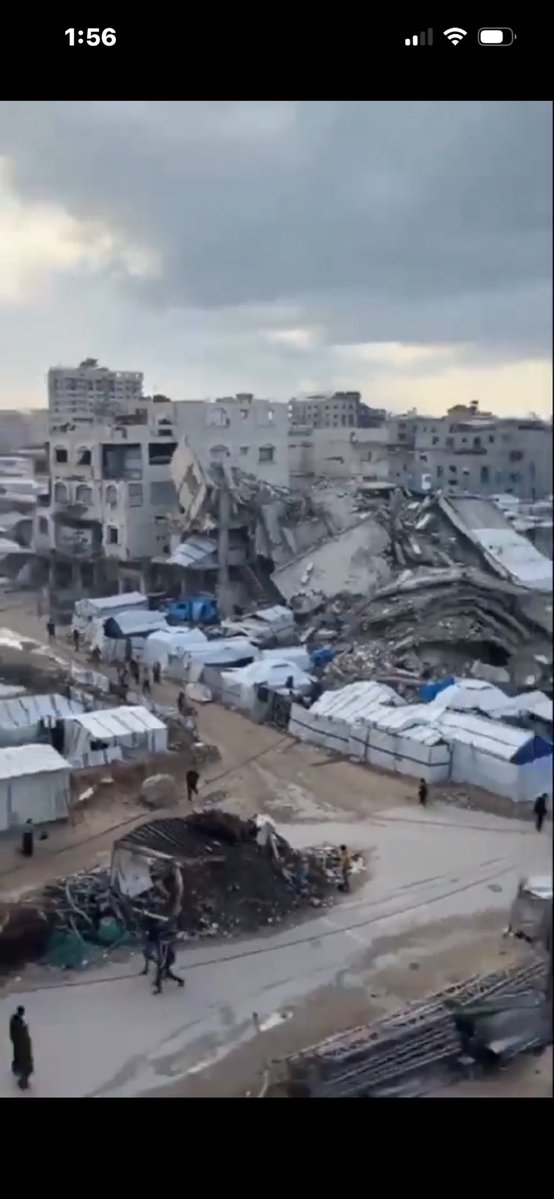 Patty Mariani tweet media