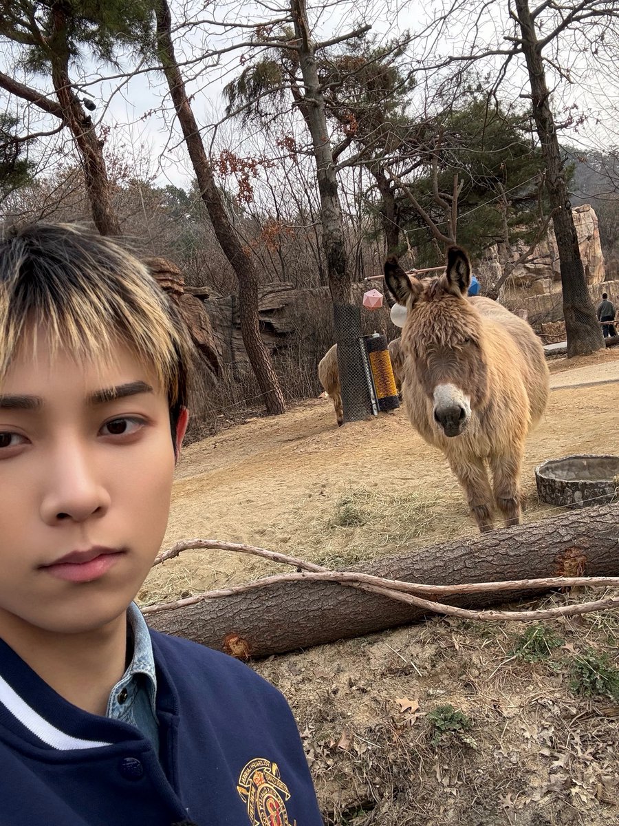 ㅎㅁㅎ tweet media