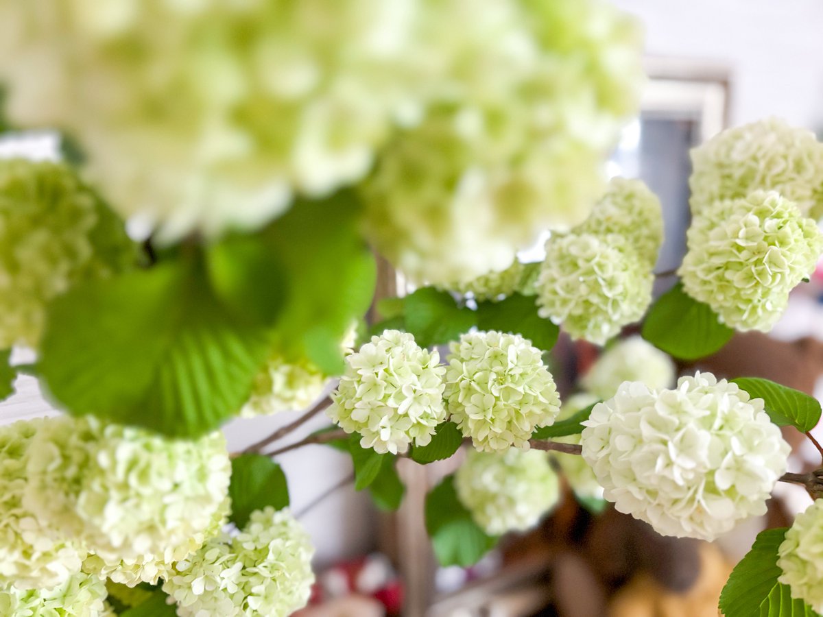 ちぇる / ยุ้ย（Yui） tweet media