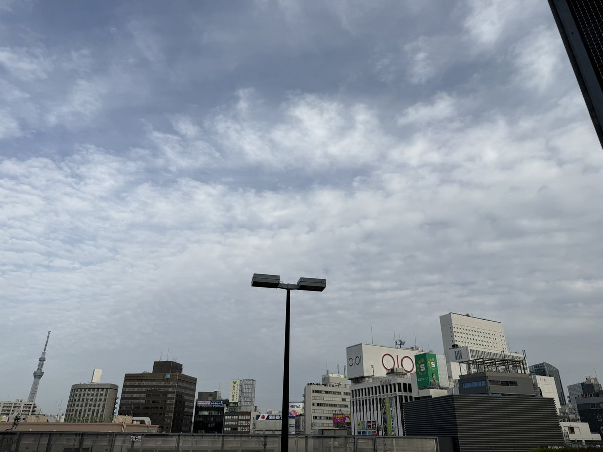 ぷりんこ姉さん tweet media