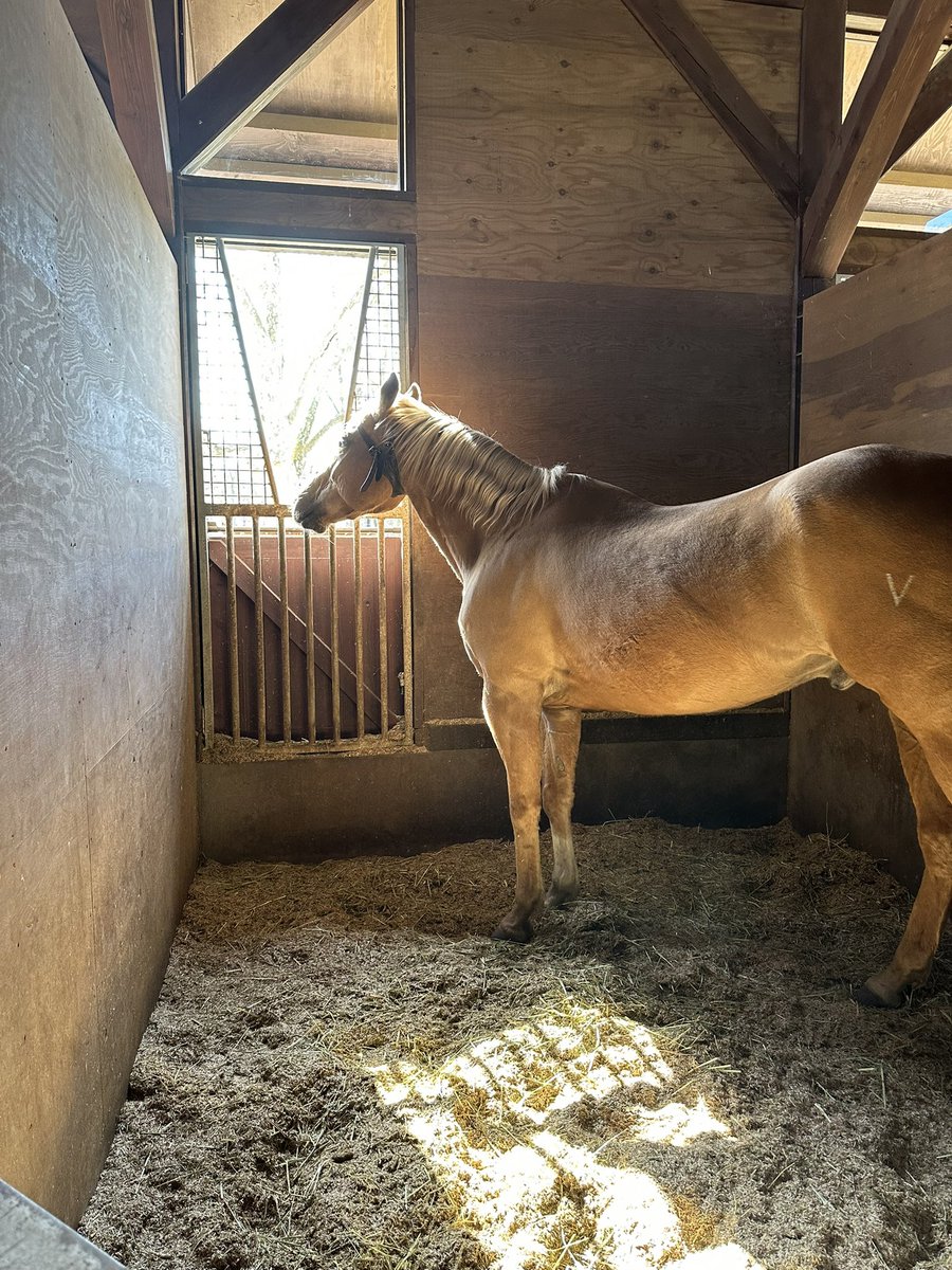 エマちゃん tweet media