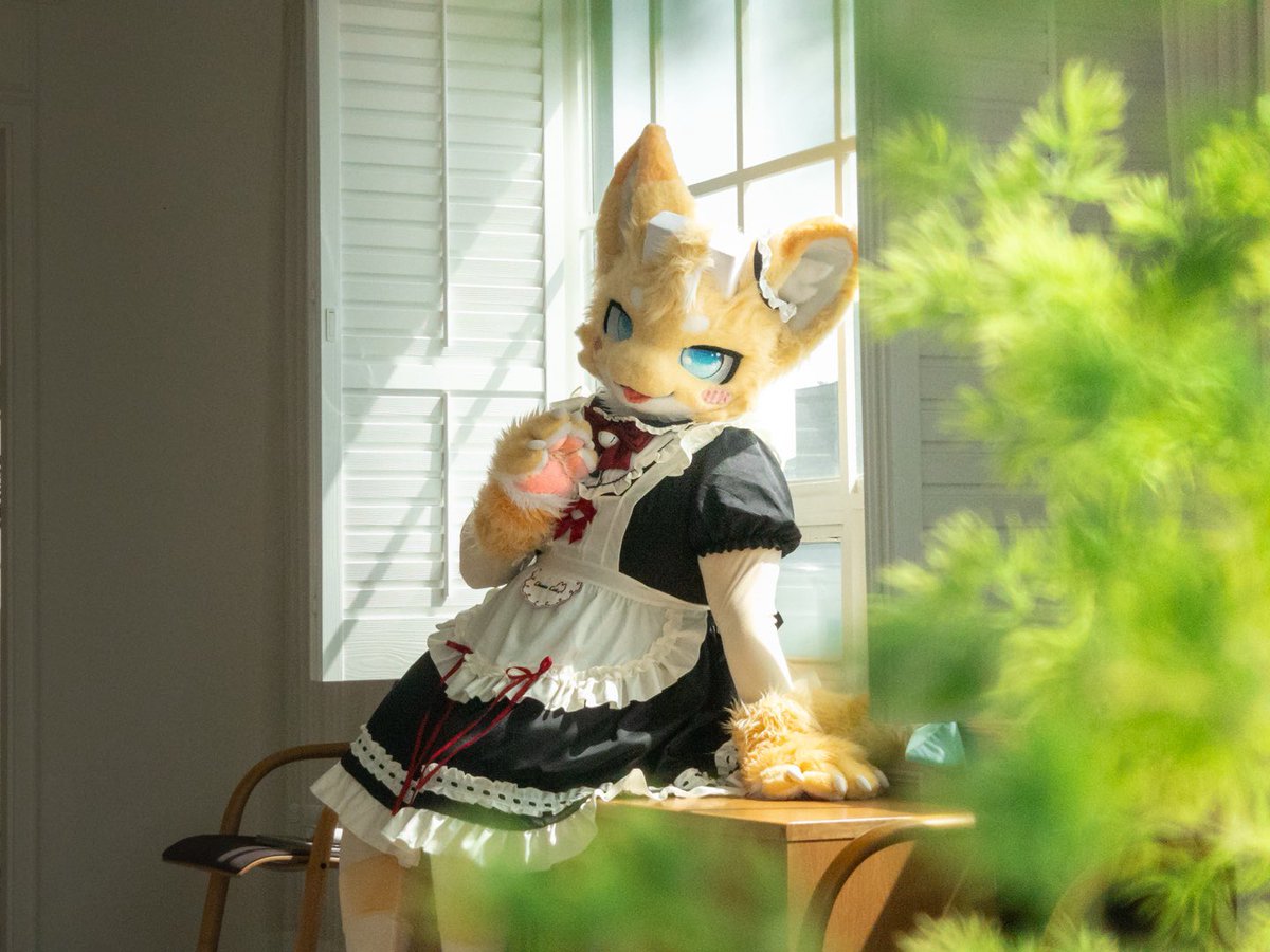 빵용🍞(パンヨン/ Breadragon) 🔜 tweet media