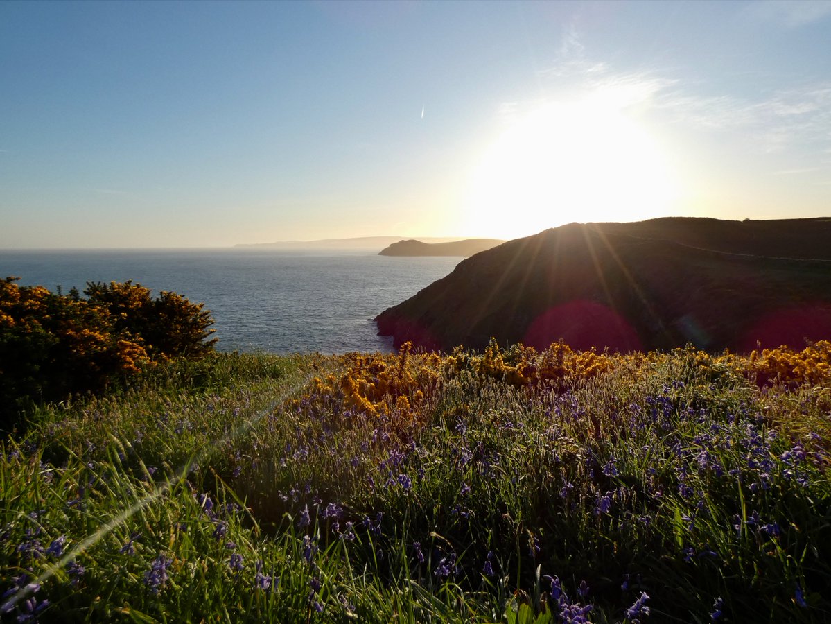 CliffsideKatie's tweet image. Corker this morning, absolutely beautiful. #cliffside #PortQuinBay