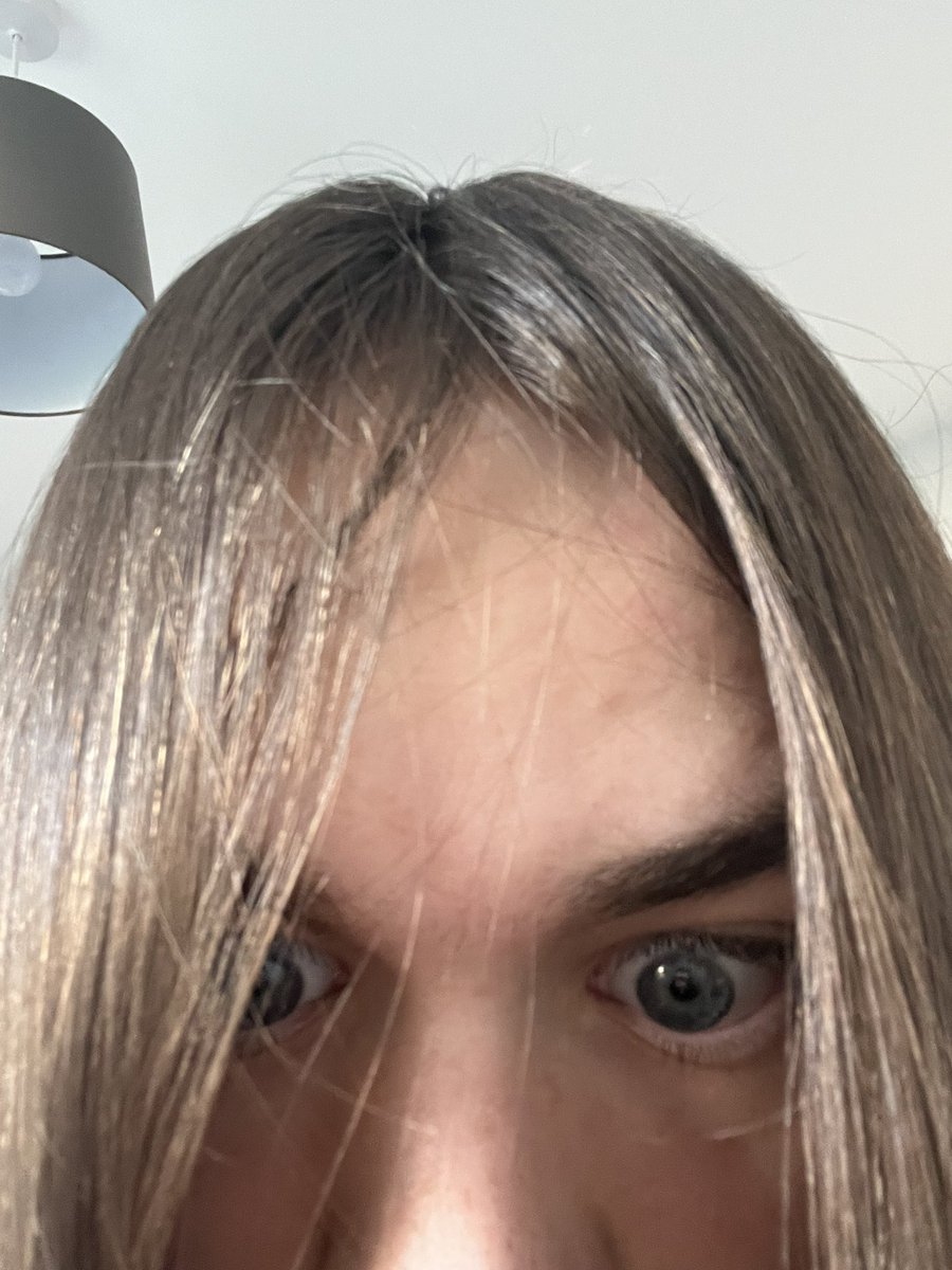 DoggyArts 🍉 tweet media