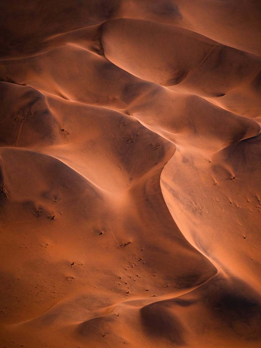 AkkshyeTulsyan's tweet image. Zoom in and zoom out!
The closer you look, the more it repeats.
The farther you go, the same patterns return.
Nature doesn’t create randomly; it evolves with rhythm.
Captured in Namibia! 
Credits: samekbatani 

#Namibia #Nature #Patterns