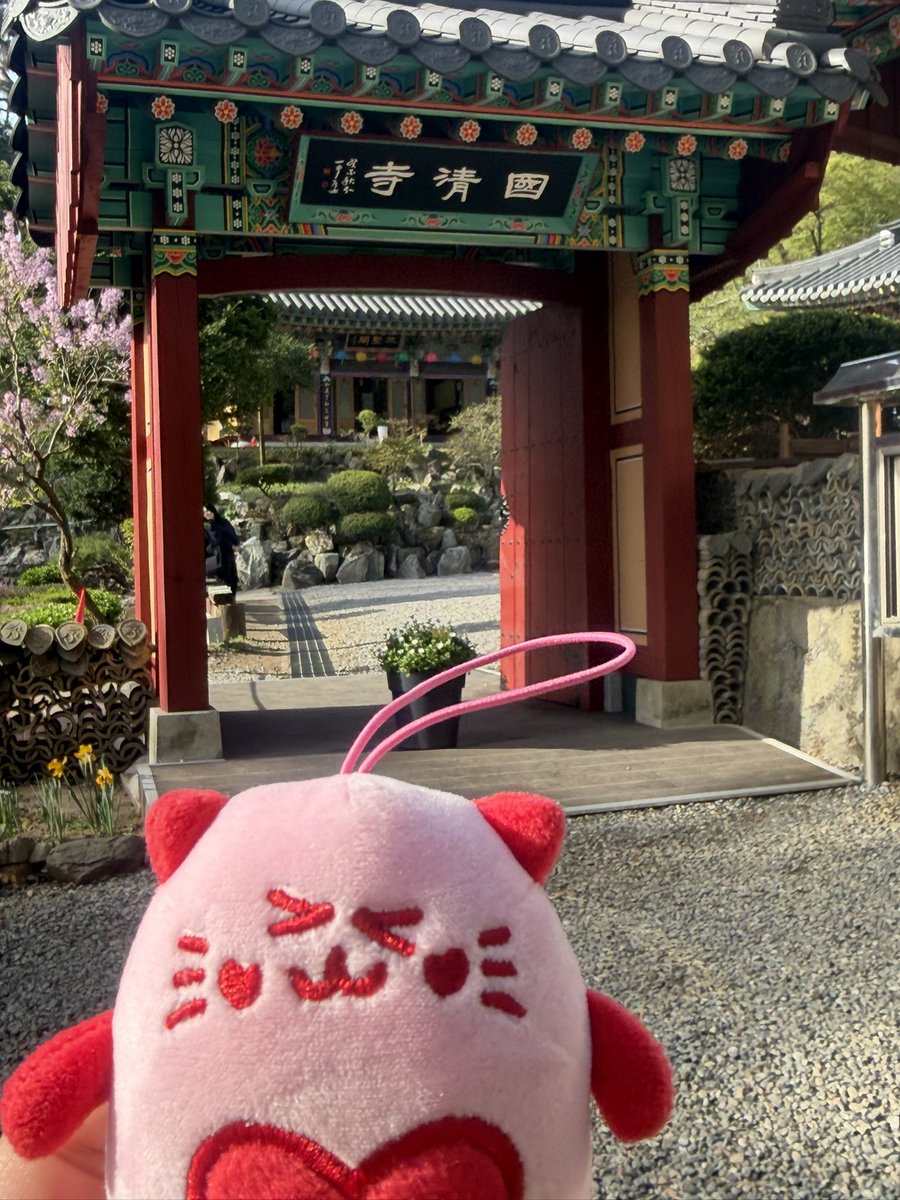 CHIEIKICHI tweet media