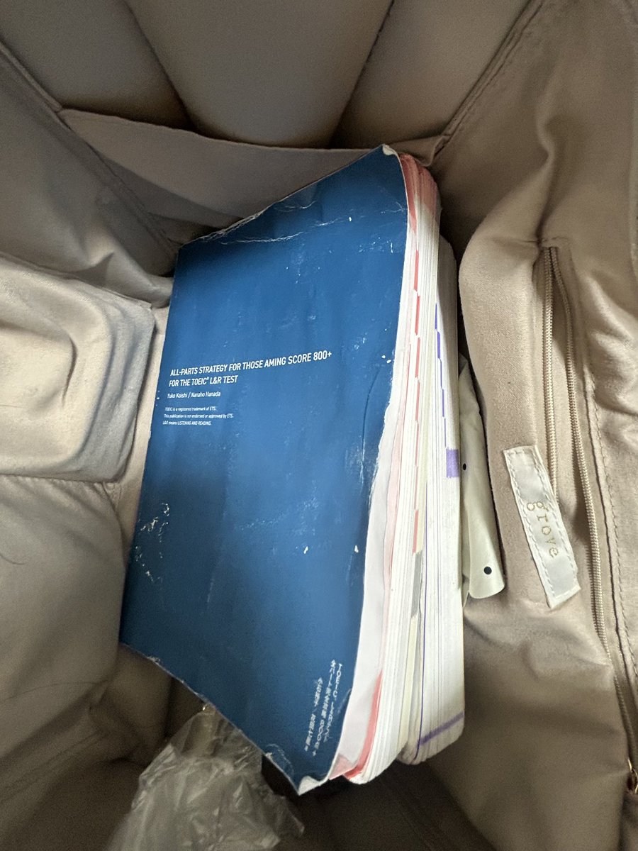 リノ🇺🇸現役英会話講師 tweet media