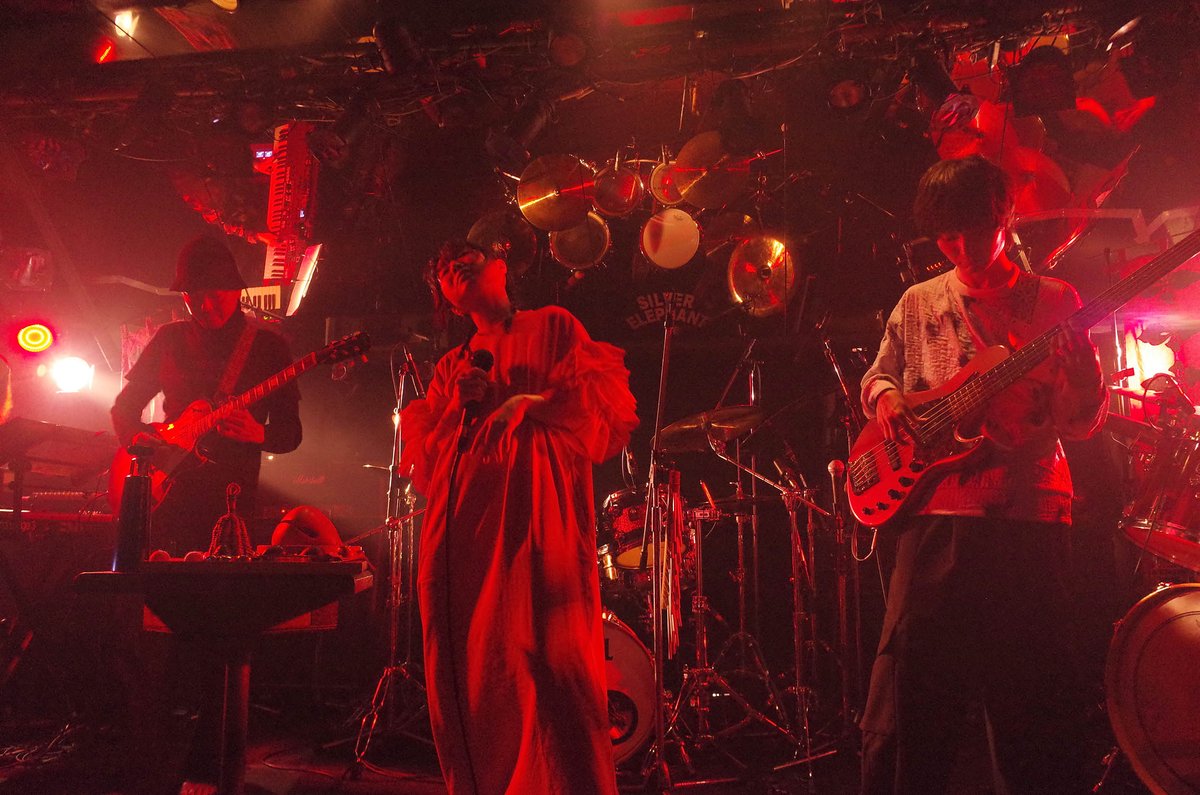 今江科学 tweet media