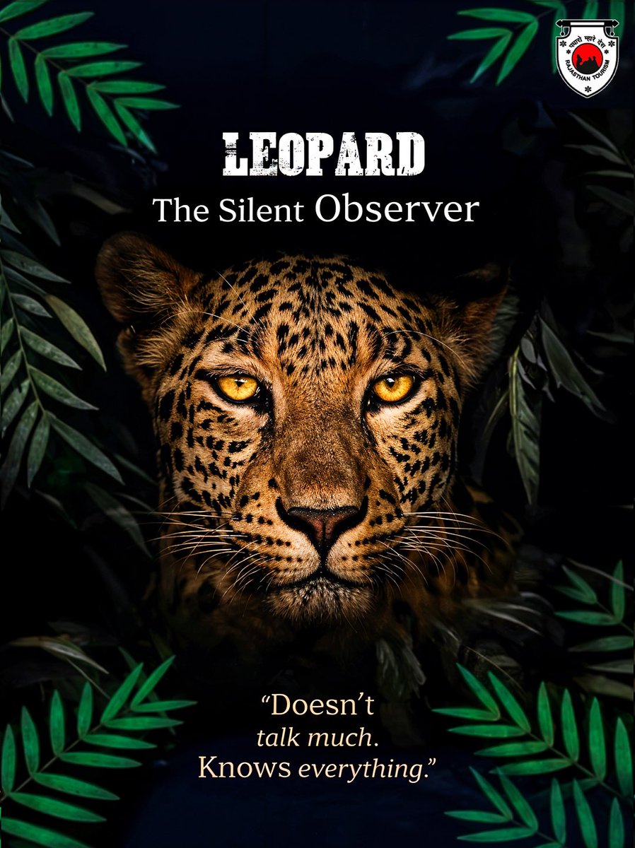 my_rajasthan's tweet image. Silence isn’t weakness. It’s strategy.
Lead like the Leopard—observe more, act smarter.

Tag the one who leads without noise.

📸: @chinmayasaxena.wildlife 

@tourismgoi  @incredibleindia 
#Leopard #WildlifeMeetsCorporate #Vandemataram150 #Jhalana

(1/2)