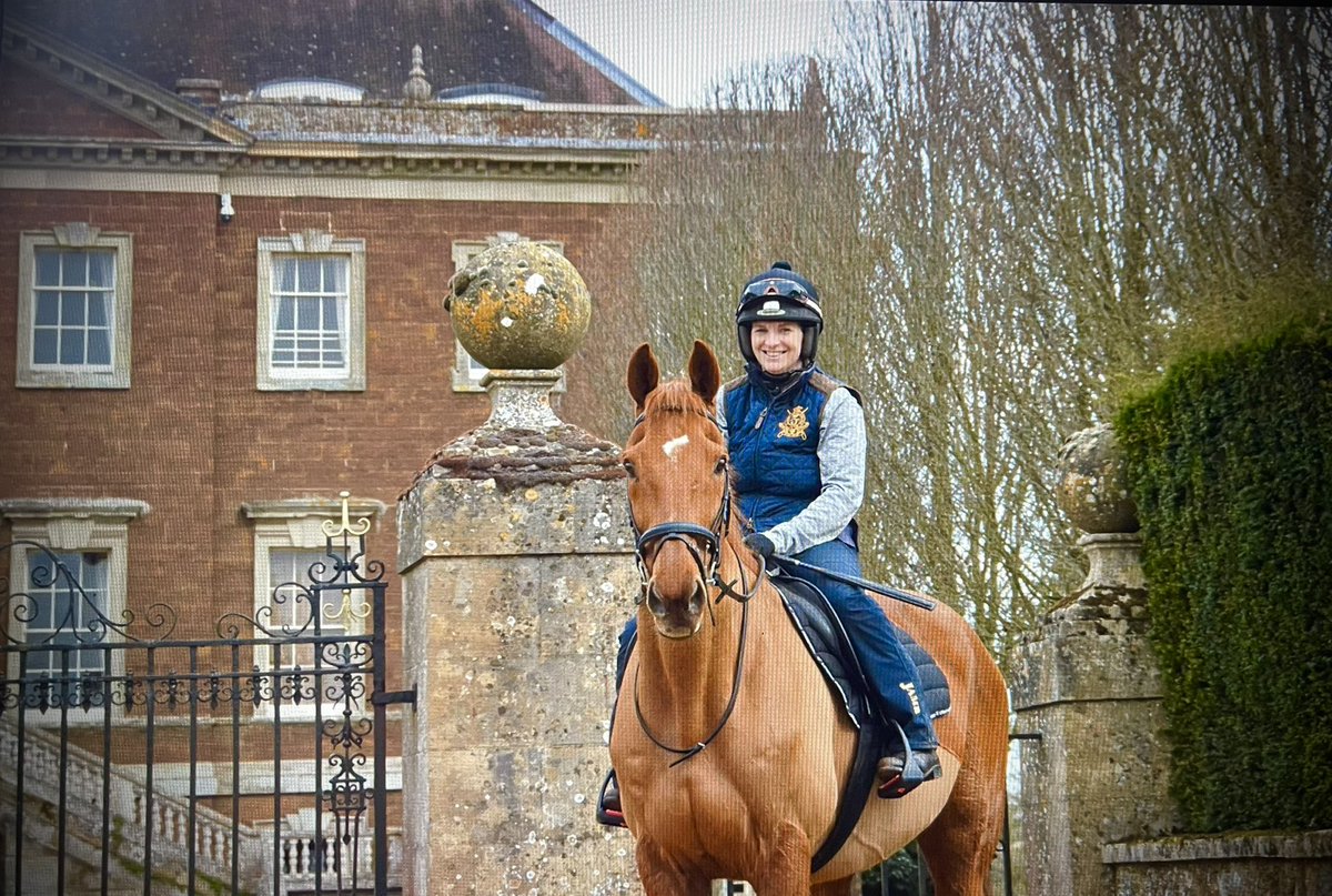 JockeyRach's tweet photo. Happy Birthday to ‘The King’ 👑 

Bens pride and joy, moms favourite hack, my favourite jumper and the racing worlds favourite lunatic. 🤪

Yorkhill……16 today 🎈🎉🐴

#lifeafterracing
#yorkie
#yorkhill https://t.co/qWoP6VV7EY