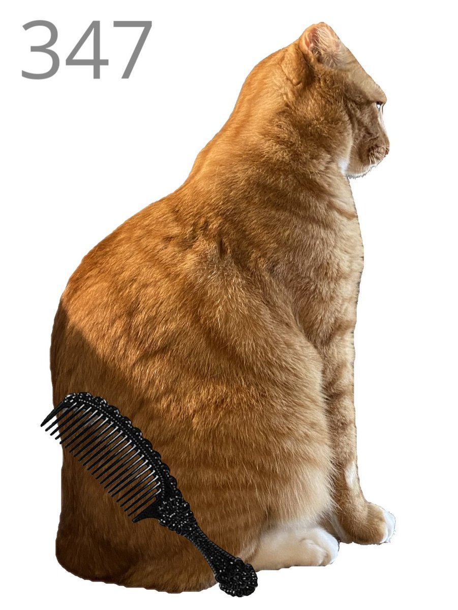 class_fi's tweet photo. @BitMartExchange Brush jjaemu ape jjaemu https://t.co/TXTJdQbgki